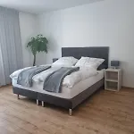 Gaestehaus Windrose Guest house Fichtelberg