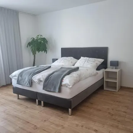 Gaestehaus Windrose Guest house Fichtelberg
